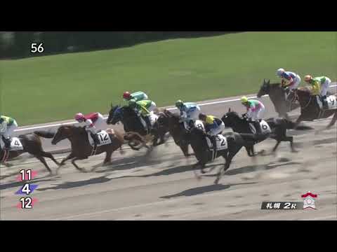 2017 Japan 3YO Maiden - Satono Victory (サトノヴィクトリー) - 莫雷拉