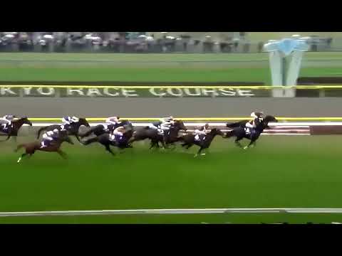 東京競馬場のGIレース超ダイジェスト ①ジャパンカップ2023イクイノックス他～②天皇賞秋2019アーモンドアイ他～③日本ダービー2011オルフェーヴル他～④オークス2005シーザリオ他
