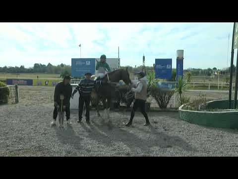 SINT COLONIA 220616 c02 1° MADMAN