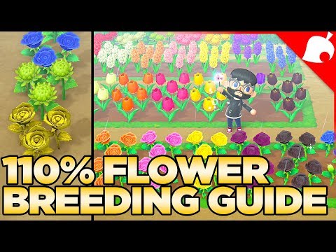ACNH Best Ways To Breed Flowers [Top 5 Ways] | GAMERS DECIDE
