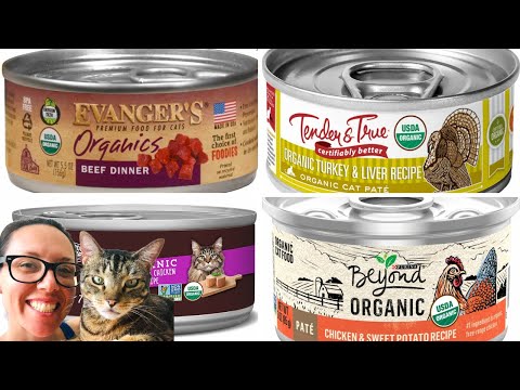 Organic wet cat food reviews - Jess Caticles