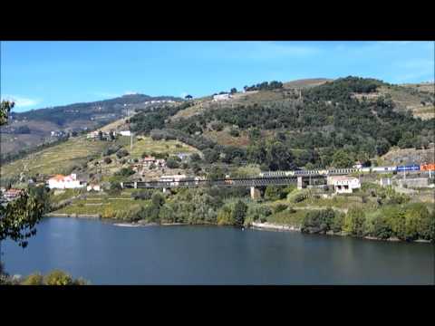 Comboio Especial n.º 13811 [PTG] - Granjão