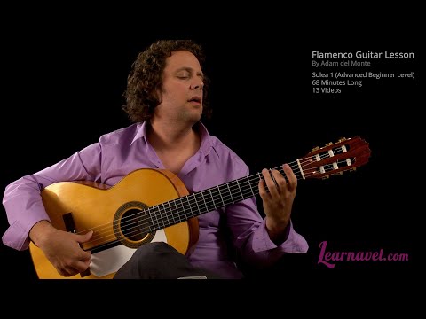 Solea - Solea Guitar Lesson for Beginner,  Flamenco Guitar by Adam del Monte at Learnavel.com