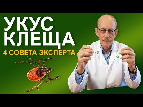 Что делать если Вас укусил клещ - последние Европейские рекомендации  CDC и IDSA