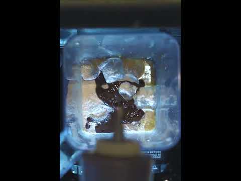 Espresso Lab – Social Media Management, Designs, Promo Video & Art Direction