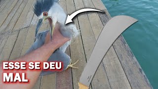 OLHA O QUE FIZ COM ELE, ESSE SE DEU MAL NUNCA MAIS VAI COMER MEUS PEIXES saalada