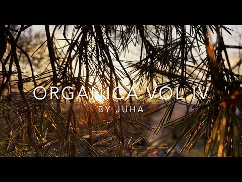 Organica Vol IV (an organic house & downtempo hybrid dj set)