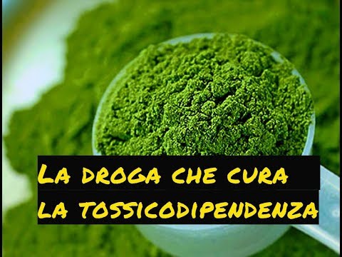 La codificazione da alcolismo Surgut Curiamo lalcolismo e la tossicodipendenza