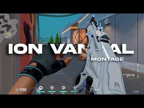 Ion 2.0 Vandal Skin Only (Montage)