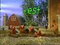 Sesame Street I Am Chicken