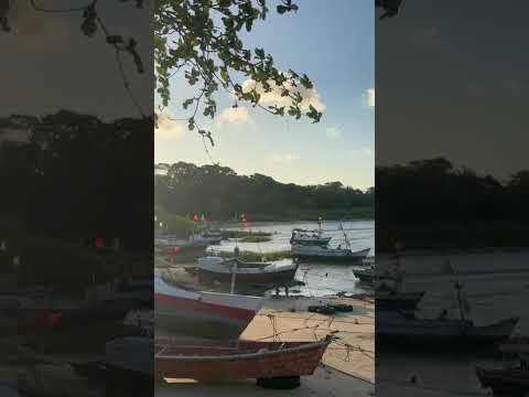 tropical paradise in Brazil (Salvaterra, para)