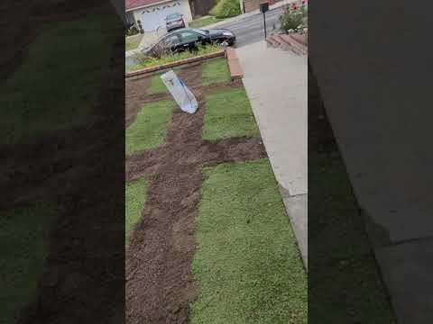 Installing KURAPIA Using The 'STAGGAR '  METHOD