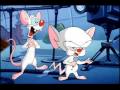 Pinky Und Brain German Intro