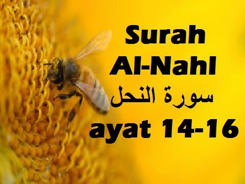 2013/01/07 Ustaz Shamsuri 759 - NE2 Surah An Nahl ayat 14-16