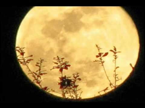 The Moon's a Harsh Mistress - Jimmy Webb