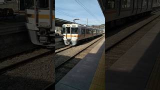 JR東海 313系 普通天竜峡行き 2両編成 辰野駅発車ｼｰﾝ #313系#JR東海#辰野駅#常闇トワ#ネコ島