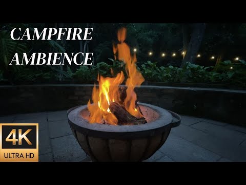 4K Campfire Ambience from an Indigenous Forest in South Africa - Relaxing Fire & Nature Sounds