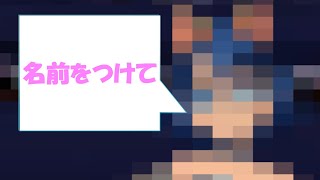 【プリパラ】この子の名前を募集します
