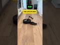 I Got The Roborock Saros Z70 Robot Vacuum With The Arm What Should I Test