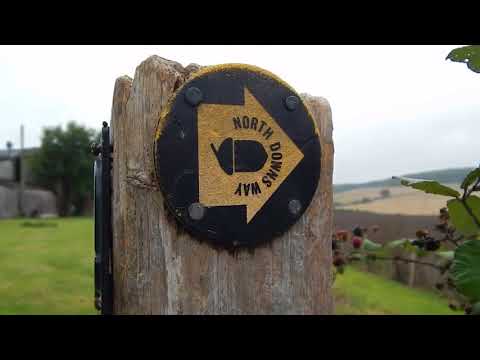 The North Downs Way: Wye to Chilham  4 September 2017