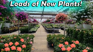 Shopping at Mega Greenhouse Grower & Huge Plant Haul || Saturday Vlog