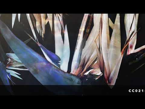 Just Her & Nandu - Away (Original Mix) [Constant Circles]