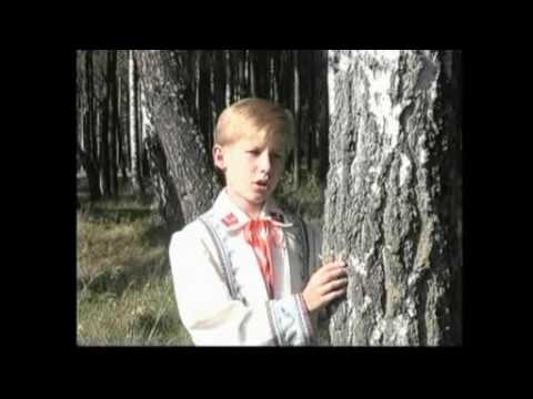 Sasha Cherkas ( Саша Черкас ) Cuckoo