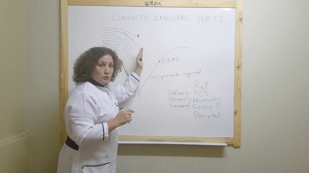 Conducto Inguinal | Generalidades, concepto y localización