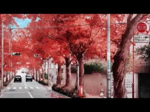 [free] lil peep, lil lotus, nothing,nowhere. type beat - serene (prod. irby)