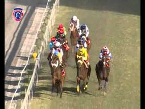 Season 2012 - Meeting 23 - Race 8 - Joyful - R. Stewart - iDates.mu - Turf Mauritius