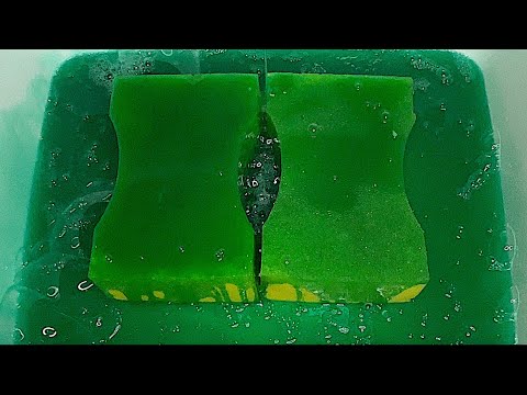 THICK SUDS ; SPONGES SQUEEZING; RINSING 💚💛