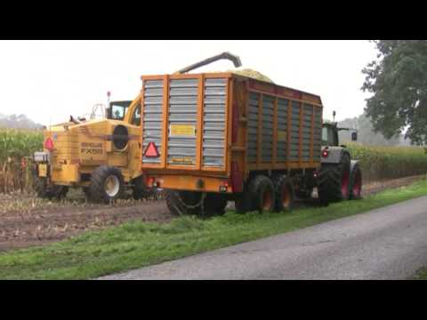 Maiskneuzen Oud Bergentheim