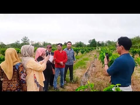 Syukuran Prof. Dr. Ahmad Alim Bachri (Rektor ULM) bersama FORSILADI Kalsel & Syahrial Shaddiq et al