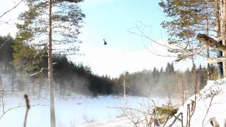 preview picture of video 'Rally Sweden - WRC 2012 - SS13'