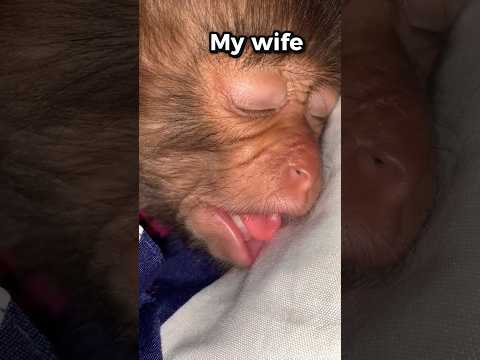 😍Every Day morning 🌄 I'll seey beautiful wife sleeping peacefully 😘 #support #subscribe #shorts