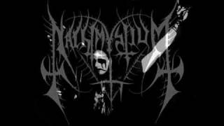 Nachtmystium - Ghosts of Grace