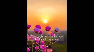 Download lagu Nothing is gonna change my love for you❤ Love status ❤❤❤❤❤ mp3