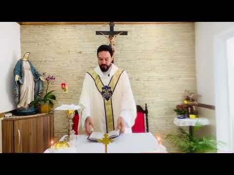 Homily of 10/12/20 Solemnity of Our Lady of Aparecida