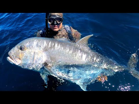 INDO TALES - EPISODE 17 Two big giant trevallies!!!!!!