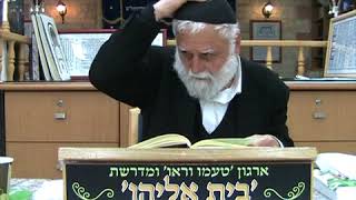 MOV00D תצוה