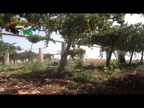 اشتباكات بين لواء فجر الإسلام  وقوات النظام في ريف دمشق