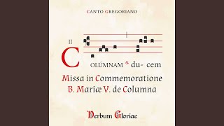 Comm. Excidisti in excelso Music Video