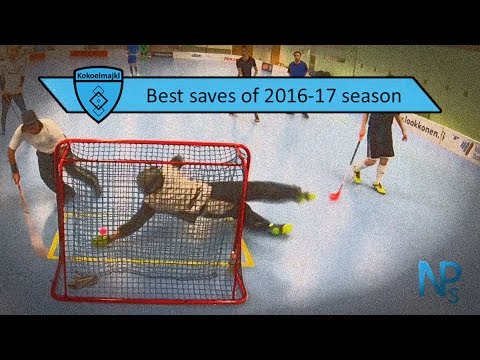 Best floorball saves of 2016-17 season