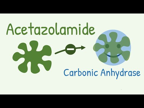 Mechanism of Action of Acetazolamide - a Carbonic Anhydrase Inhibitor