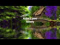 Hello Walls by Faron Young - 1961 (with lyrics)