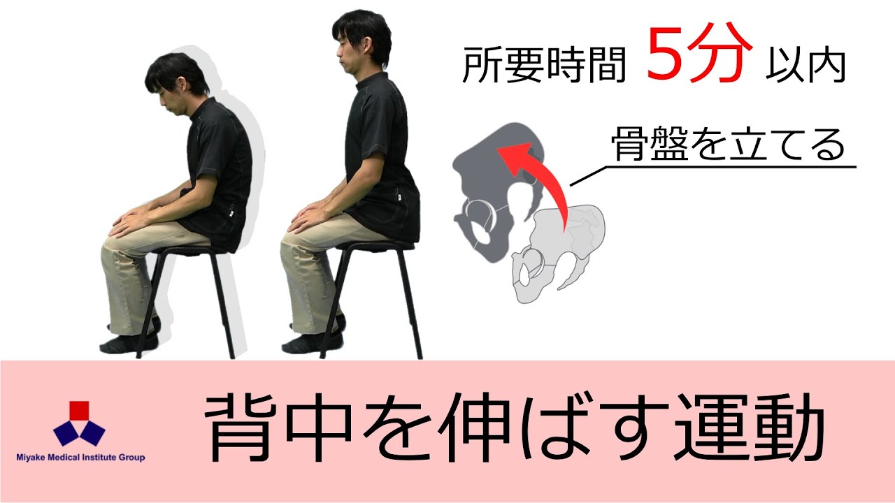 背中を伸ばす（座ってできる運動）