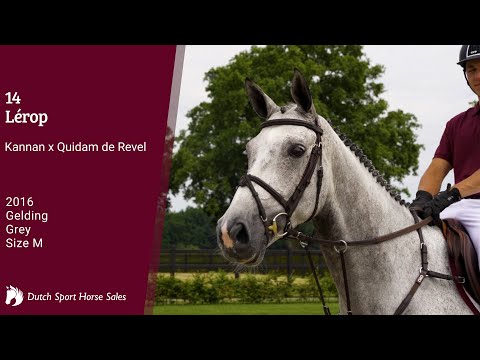 14 Lérop (Kannan x Quidam de Revel 2016)