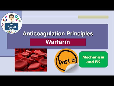 Anticoagulation Principles: Warfarin - Part 2a: Mechanism of Action and Kinetics. Pharmacy.