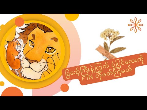 Leijona ja Hiiri (The lion and the mouse in Finnish) #finland #suomi #learnfinnish