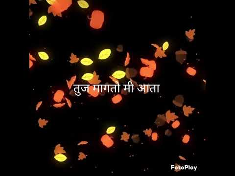 तुज मागतो मी आता  (  अनुराधा पौडवाल   )